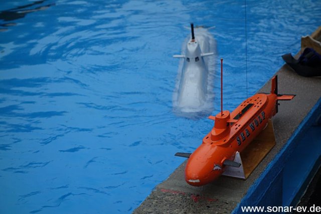 FR2013 (19)